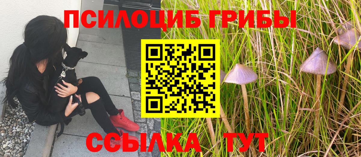 Югорск  Псилоцибиновые грибы GOLDEN TEACHER  Вход с VPN  Галлюциногенные грибы ЛСД 