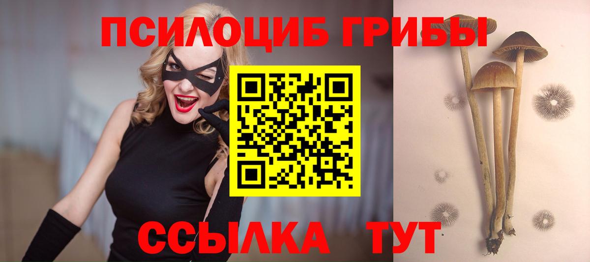 Псилоцибиновые грибы Psilocybe Югорск
